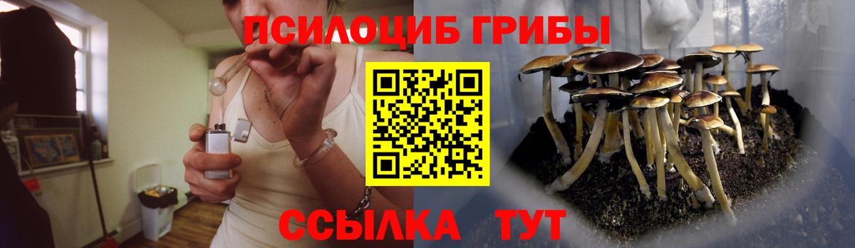 Галлюциногенные грибы Psilocybine cubensis  Вход с VPN  Псилоцибиновые грибы Cubensis  Краснокамск 